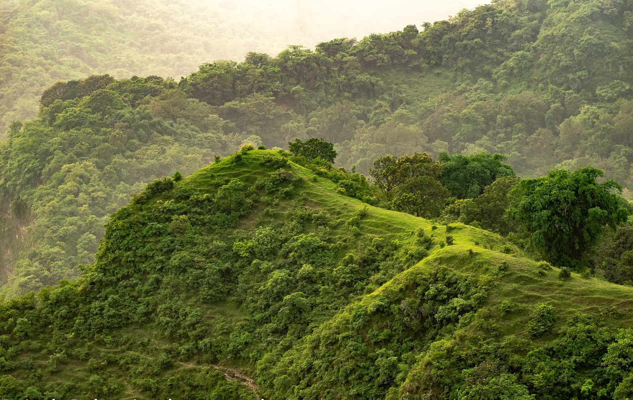 The Future of Homes - Energy Self-Sufficiency and Green Building